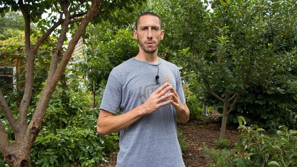 It Took Me 7 YEARS To Discover This GARDEN TRICK