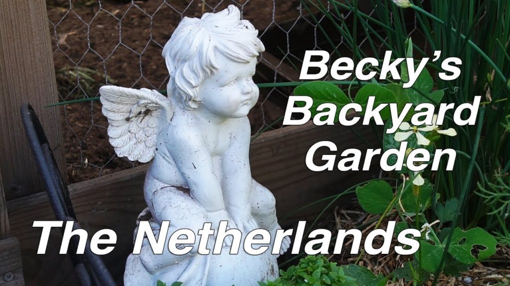 Kaye Kittrell: NETHERLANDS | Backyard Garden Tour | Planting Dense, Diverse, Compact NETHERLANDS | Backyard Garden Tour | Planting Dense, Diverse, Compact