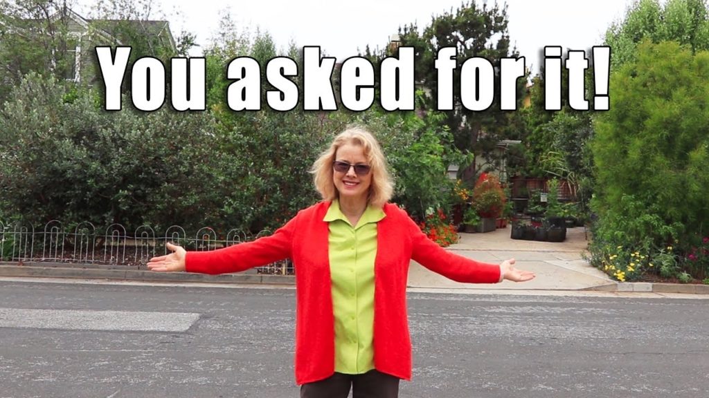 COMPLETE June Garden Update and Tour | Los Angeles