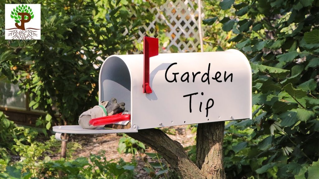 Gardening Tip, Storing Tools In Garden Mailbox Build