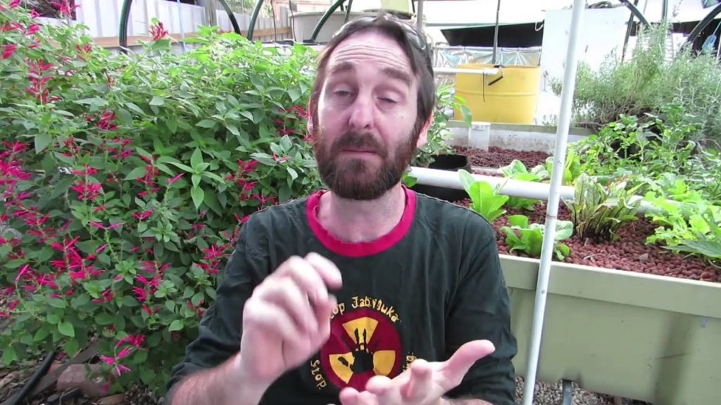 Introduction to Hydroponics, Aquaponics, and Soil Gardening, Interviewing the Experts