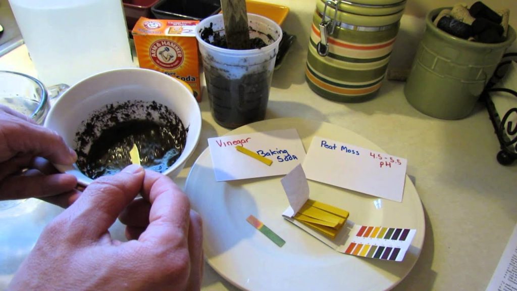 How to Use pH Litmus Strips to Measure pH in Vegetable Garden Soil - The Rusted Garden 2013