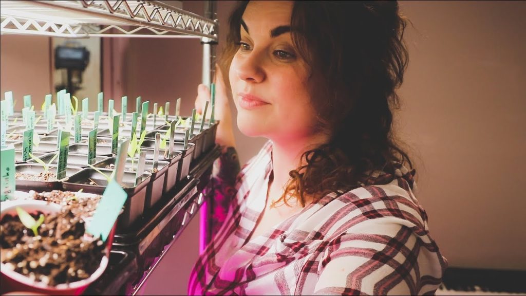 I Won't Tease You With This One | VLOG | Roots and Refuge