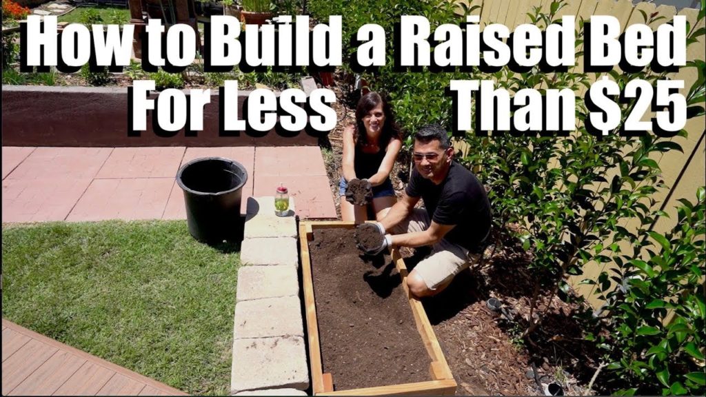 How to Build an Easy, Inexpensive Raised Bed for Less Than $25