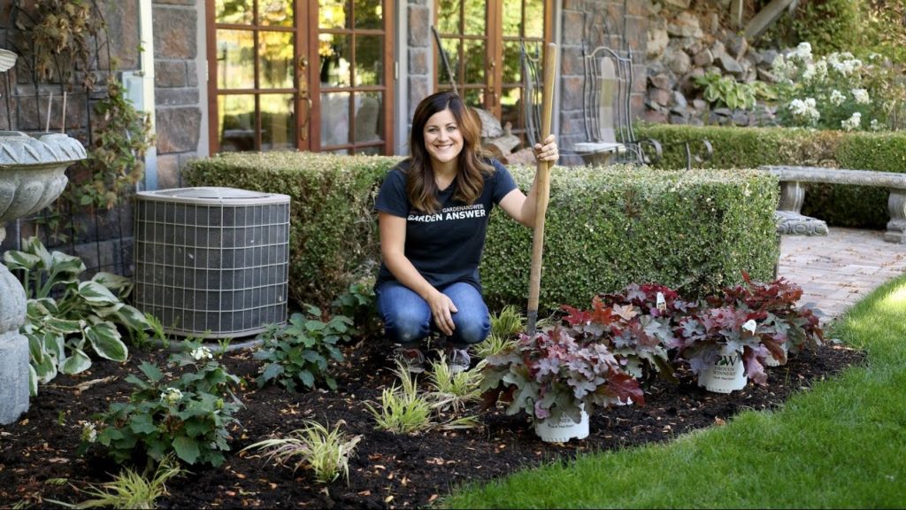 Garden Answer: Planting Red Rover Heucherella in My Mom's Garden // Garden Answer Planting Red Rover Heucherella in My Mom's Garden // Garden Answer