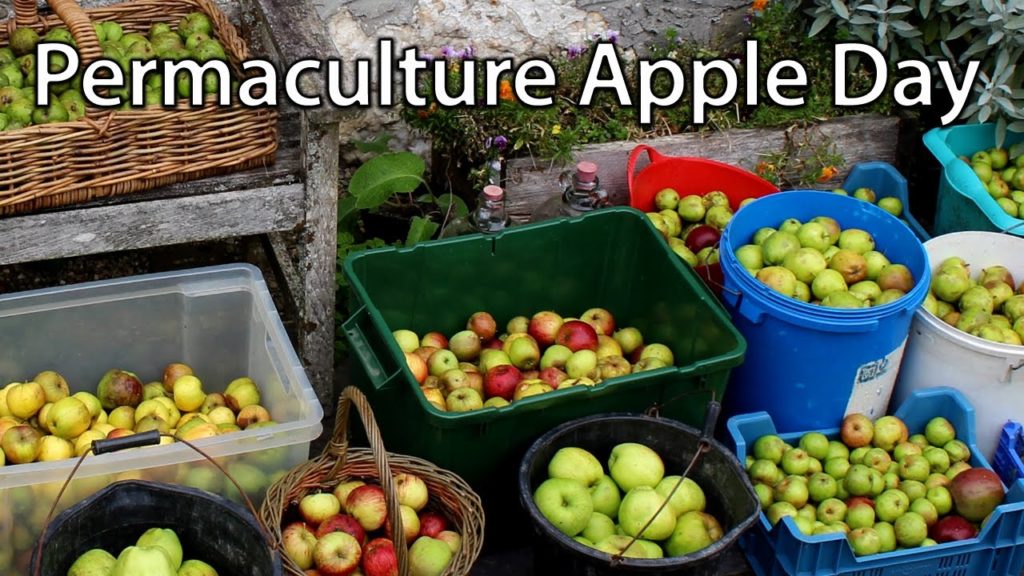 Huw Richards: A Permaculture Apple Day at our Farm – Sharing Skills and Produce A Permaculture Apple Day at our Farm - Sharing Skills and Produce