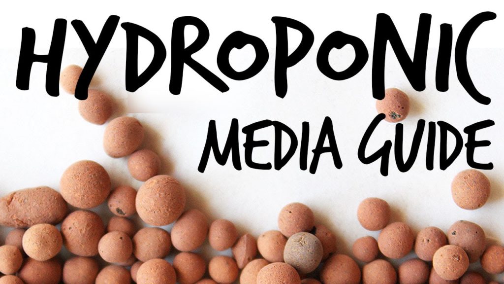 Epic Gardening: Perlite, Rockwool, Coco Peat, Growstones…Which Should You Use and Why? Perlite, Rockwool, Coco Peat, Growstones...Which Should You Use and Why?