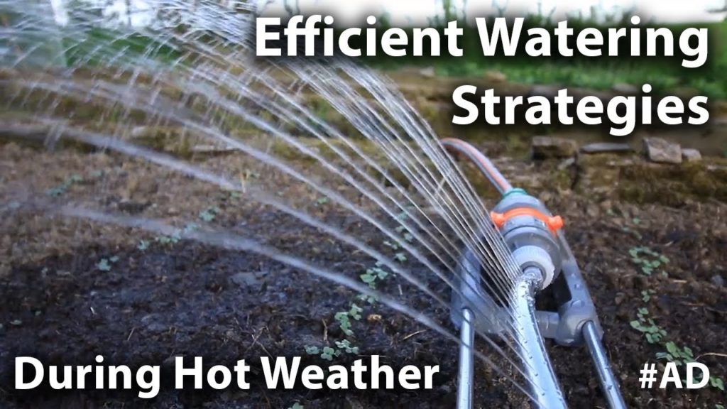 Huw Richards: Efficient Watering Strategies for your Garden during Hot Weather Efficient Watering Strategies for your Garden during Hot Weather
