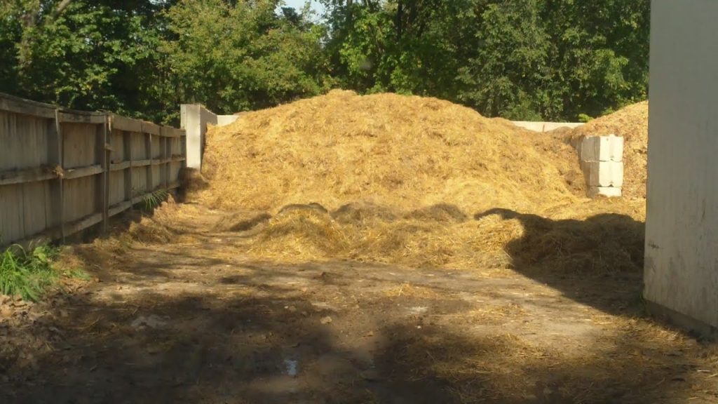 One Yard Revolution: Free Horse Manure & Straw For Our Compost Free Horse Manure & Straw For Our Compost
