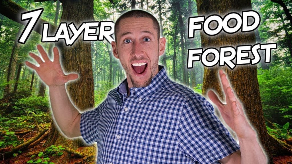 The 7 Layers of a FOOD FOREST!