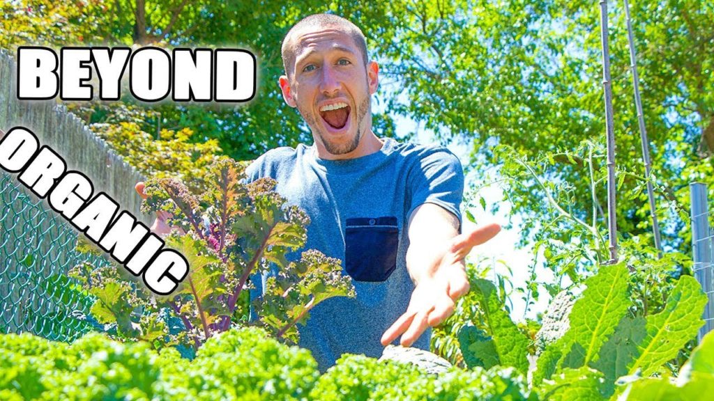 HIGH PRODUCTION FOOD FOREST GARDEN TOUR!