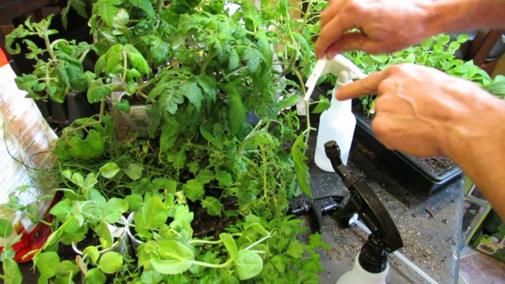 Tools of the Trade: 360 Degree Spray  and Inverted Spray Nozzles