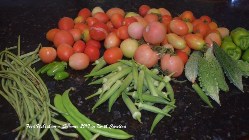 Vegetable Gardening in North Carolina -  Summer 2019