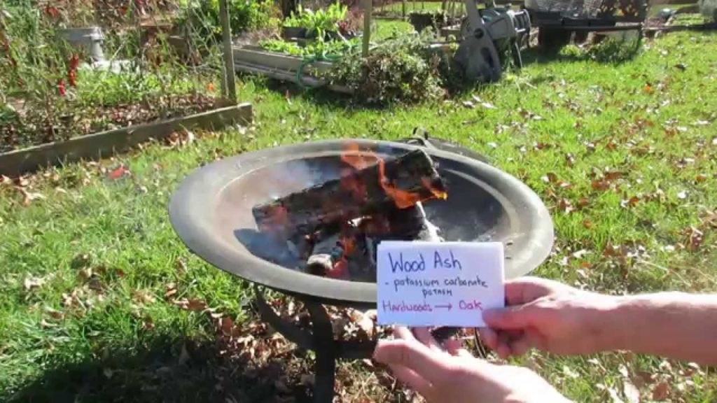 TRG 2016: How to Use Hardwood Ash as Fertilizer: Potassium, Calcium, Magnesium