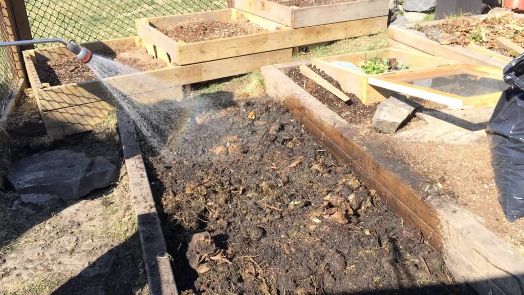 Building the Perfect Garden Soil using Trench Composting in the Alberta Urban Garden