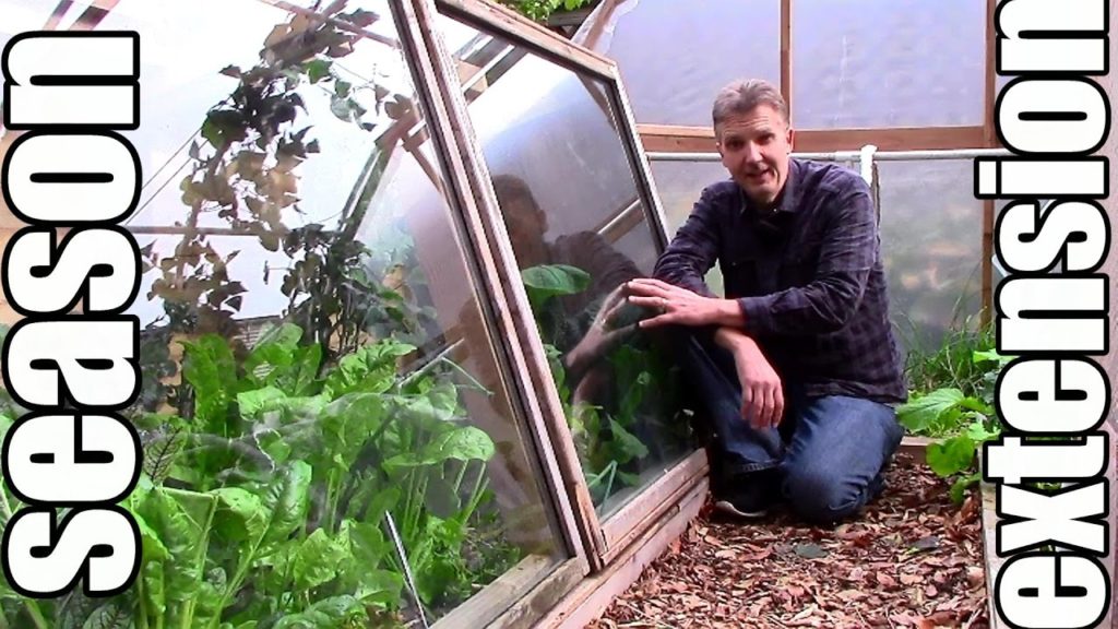 Making Fall/Winter Gardening Easier & More Bountiful (Zone 5)