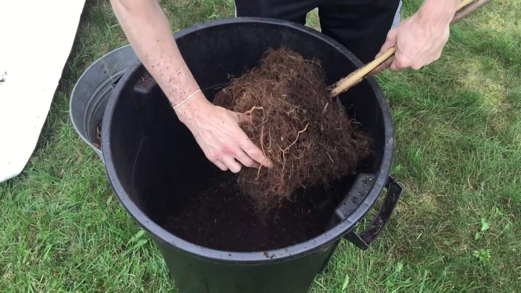Planting Fruit Trees, Healing Root Bound Trees