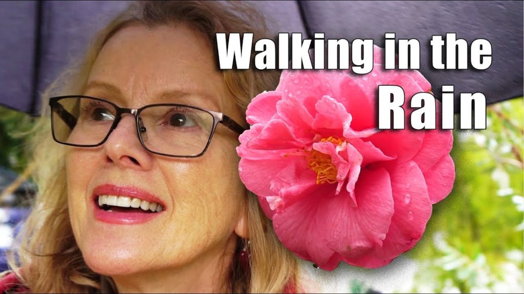 Rainy Garden Tour | Camellias, Marigold | Los Angeles