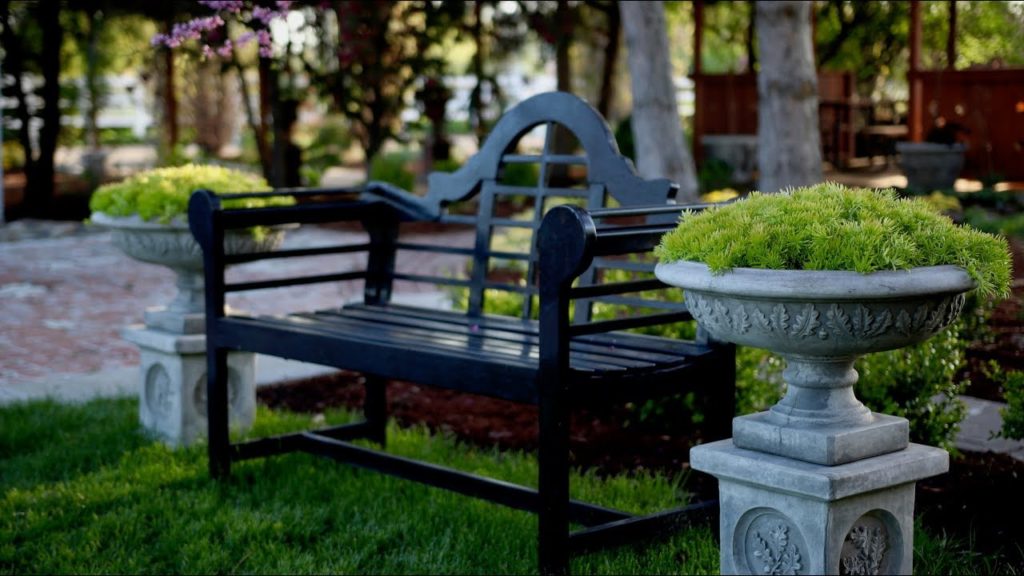 Making a Statement with Lemon Coral Sedum 💛🌿// Garden Answer