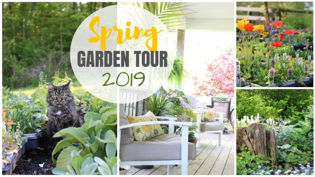 Spring Gardens ~ Spring Garden Tour ~ Cottage Style Gardens ~ Gardening Ideas ~ Perennial Gardens