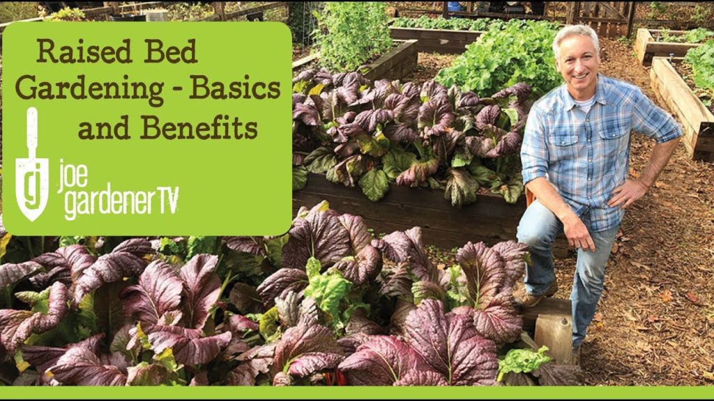 Raised Bed Gardening - Benefits and Basics