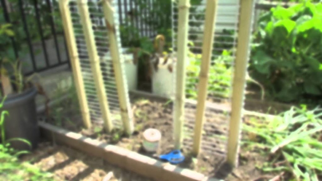 Gary Pilarchik: How to Make a 6 foot Cucumber & Vegetable Trellis in 15 Minutes: Grow Vertical! – TRG 2014 How to Make a 6 foot Cucumber & Vegetable Trellis in 15 Minutes: Grow Vertical! - TRG 2014