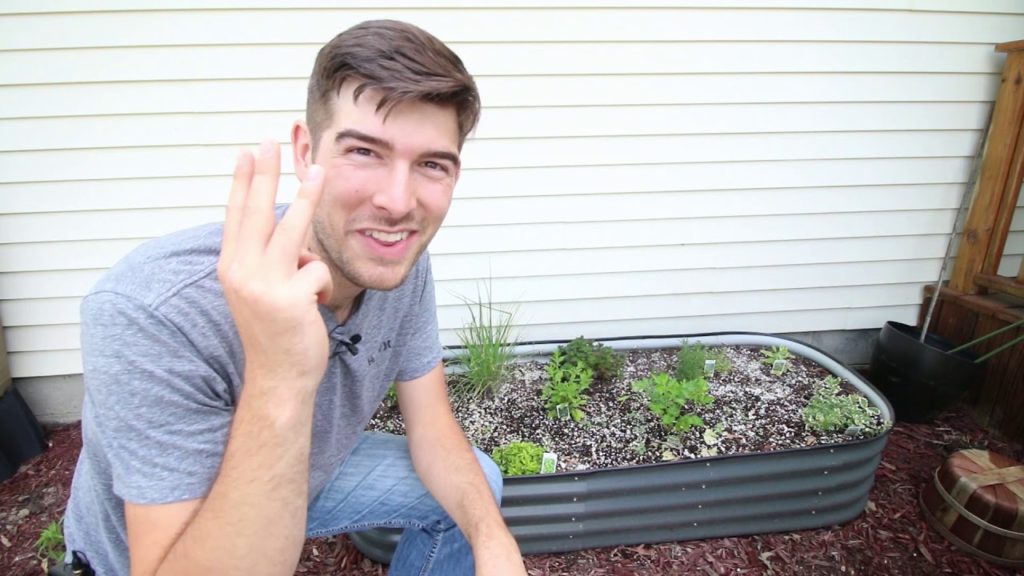 MIgardener: These 7 Plants Are Loved but INVASIVE! How to Grow Them Without Losing Your Garden These 7 Plants Are Loved but INVASIVE! How to Grow Them Without Losing Your Garden