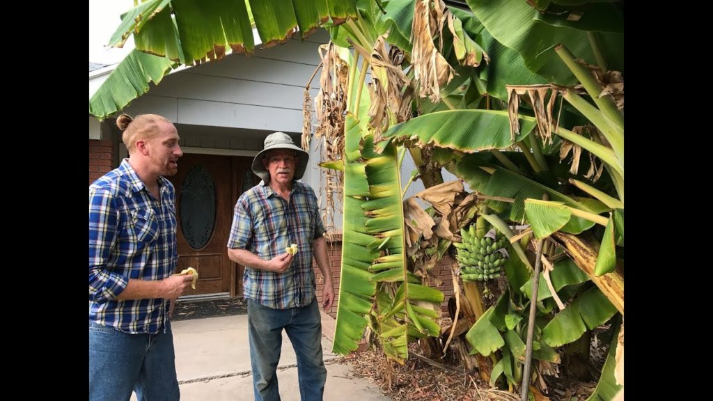 How To Construct A Healthy Soil | Interview with Master Gardener