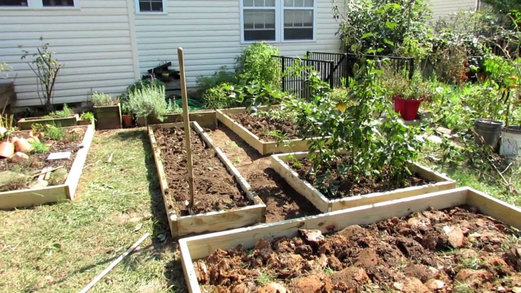 Designing a Raised Bed Vegetable Garden: A Fall Makeover!