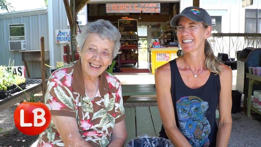 Kaye Kittrell: Southeast Gardens | HILLCREST FARM | You Pick Family Farm | Travelogue Southeast Gardens | HILLCREST FARM | You Pick Family Farm | Travelogue