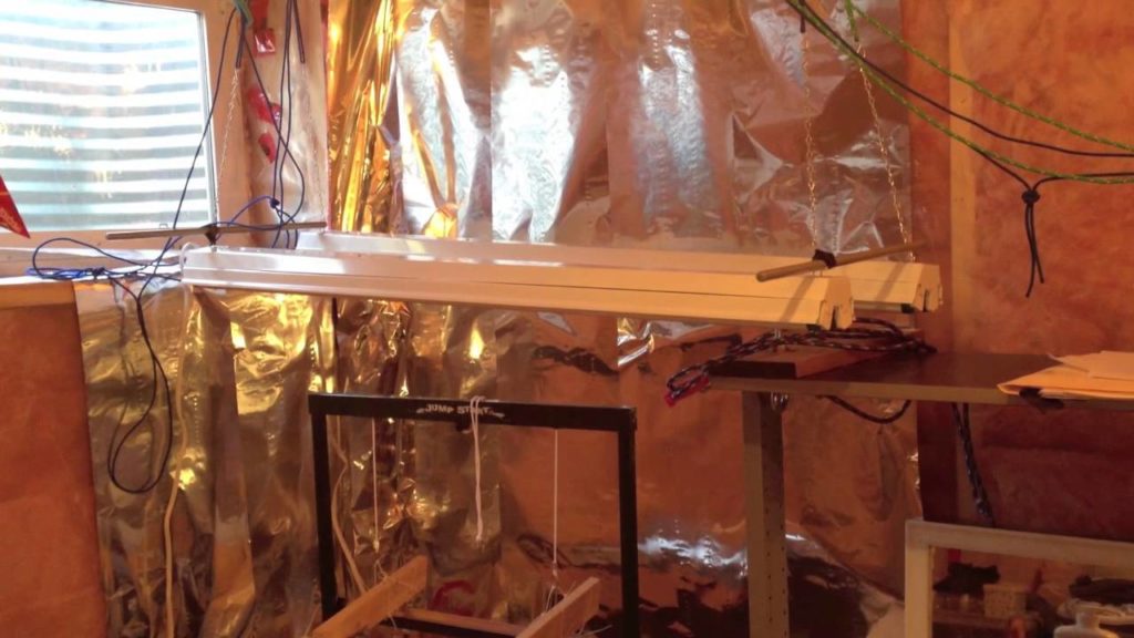 Alberta Urban Garden: Easy and Cheap Indoor Grow light Setup in the Alberta Urban Garden Easy and Cheap Indoor Grow light Setup in the Alberta Urban Garden