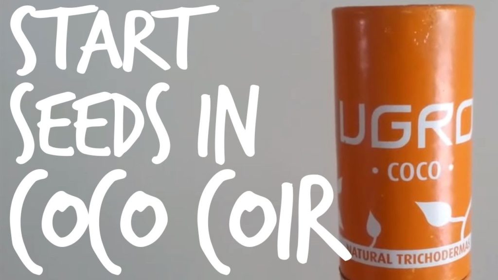 Starting Seeds in Coco Coir: UGRO Seed Starters