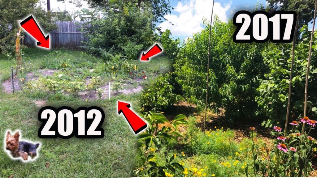 James Prigioni: This Could CHANGE EVERYTHING! How It ALL BEGAN… This Could CHANGE EVERYTHING! How It ALL BEGAN...