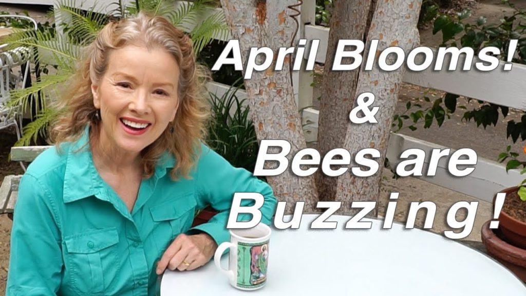 April Blooms | Bees are Buzzing! | Garden Vlog