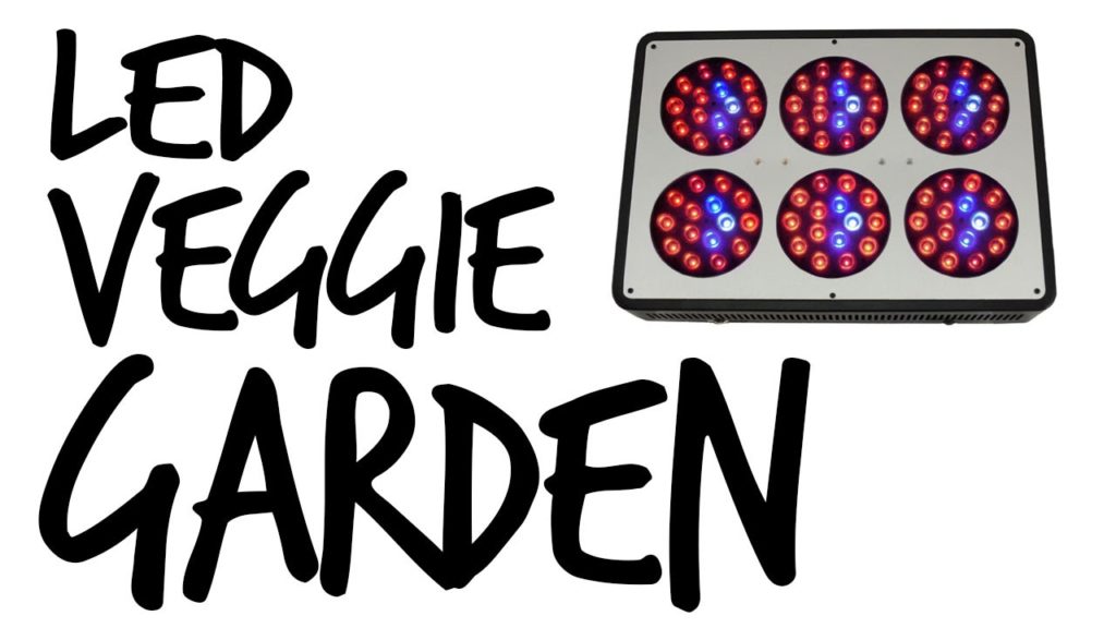 Epic Gardening: Growing Veggies with LEDs Update Growing Veggies with LEDs Update