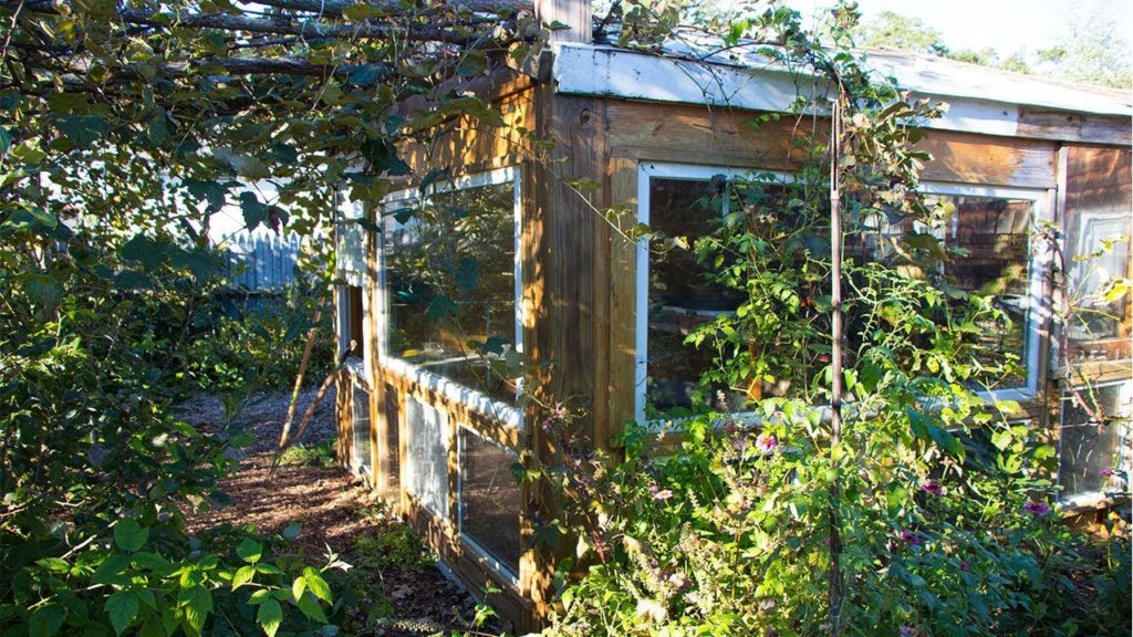 Recycled Window Greenhouse