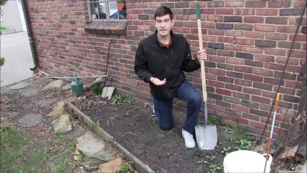 How To Grow perfect Lettuce - Complete Growing Guide