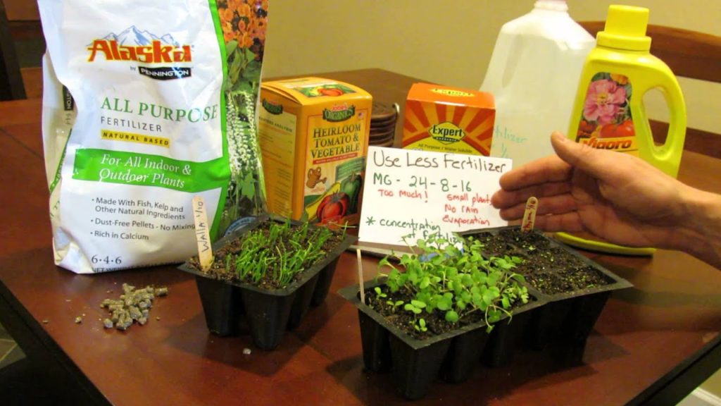 MFG 2016: Fertilizing Indoor Vegetable Seed Starts: When, How and Fertilizer Types