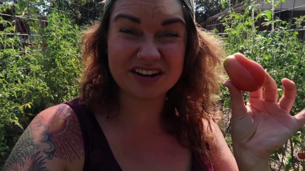 Roots and Refuge Farm: The Best and Worst Summer Garden Heirlooms, and a LOT of Manure | VLOG | Roots and Refuge The Best and Worst Summer Garden Heirlooms, and a LOT of Manure | VLOG | Roots and Refuge