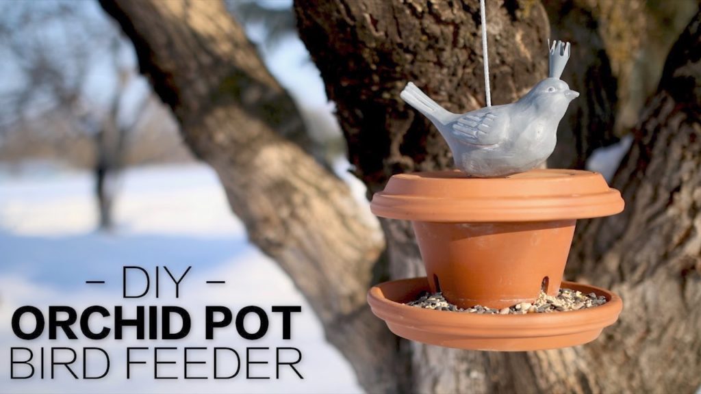 DIY Orchid Pot Bird Feeder // Garden Answer
