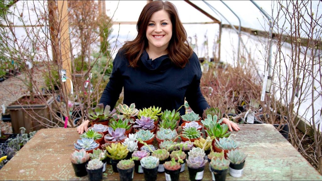 Garden Answer: The Succulent Source Unboxing The Succulent Source Unboxing