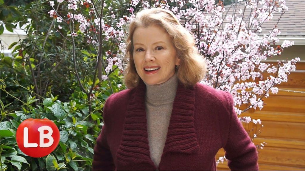 Seeding Method | Diatomaceous Earth & Results | Vlog