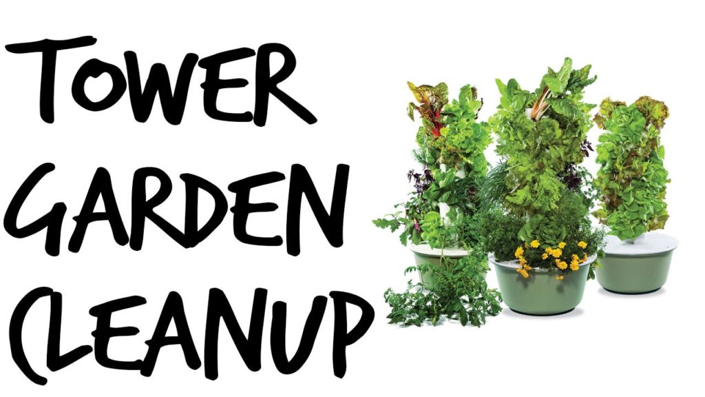 Tower Garden: Cleanup and Post Harvest