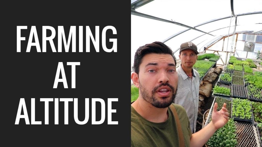 Epic Gardening: Market Gardening at 5,200 Feet! Market Gardening at 5,200 Feet!