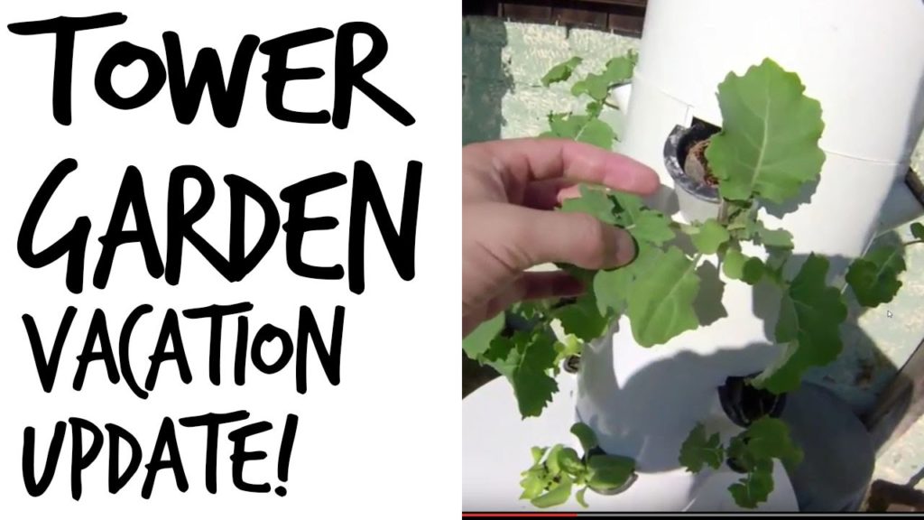 Tower Garden Update After Vacation