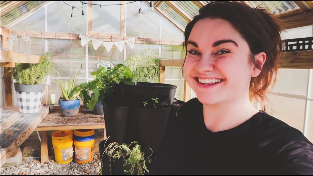 The GREENHOUSE is Back in Action | VLOG | Roots and Refuge