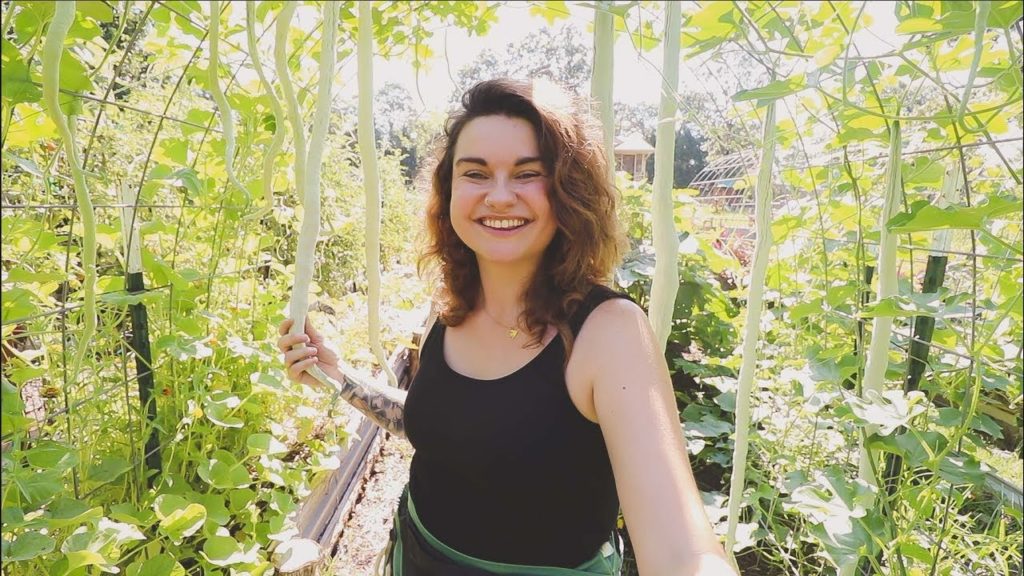 Full Garden Tour & Harvest Week 7 | Heirloom Potager Garden | Roots and Refuge