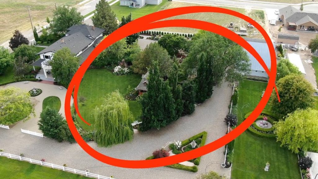 Garden Answer: We Removed the Oak Trees! 😳👍💚// Garden Answer We Removed the Oak Trees! 😳👍💚// Garden Answer