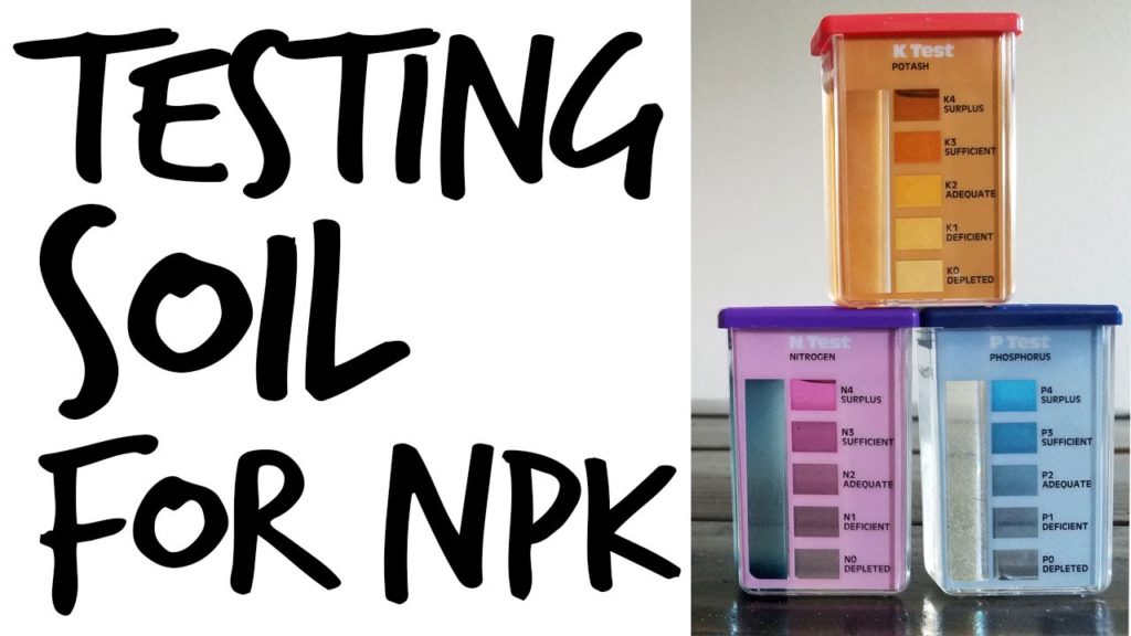 How to Test Your Soil for Nutrients