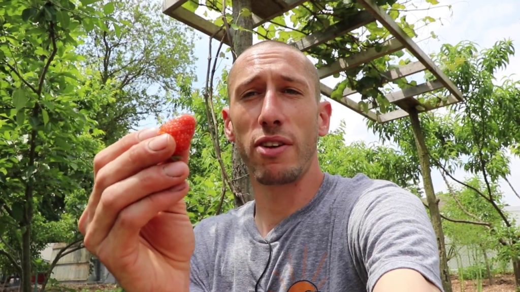 James Prigioni: I Wish I Knew This When I First Started Gardening I Wish I Knew This When I First Started Gardening